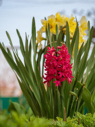 Similar image 21362084