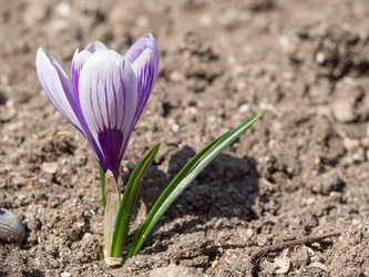 Similar image 21362664