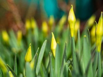 Similar image 21362665