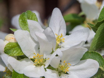 Similar image 21362668