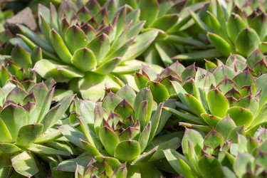 Similar image 21362670