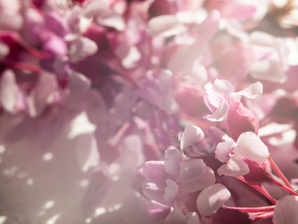 Similar image 21362671