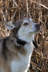 Similar image 21362783