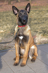 Similar image 21362784