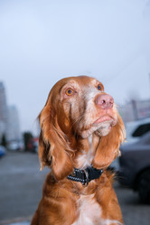 Similar image 21362785