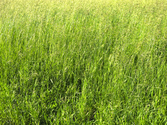 Similar image 21362712