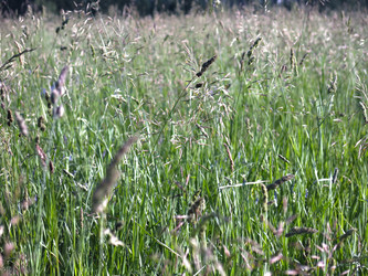 Similar image 21362714