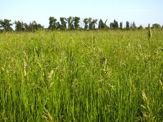 Similar image 21362716