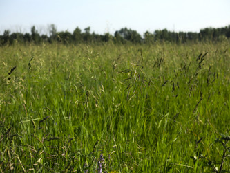 Similar image 21362717