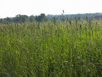 Similar image 21362718