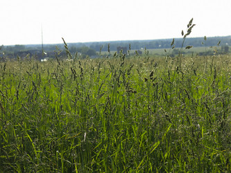 Similar image 21362719