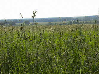 Similar image 21362720