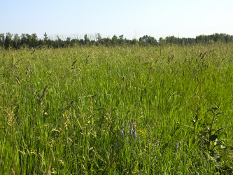 Similar image 21362721