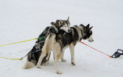 Similar image 21363274