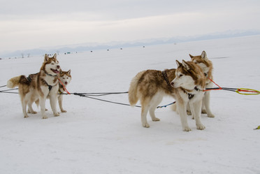 Similar image 21363275