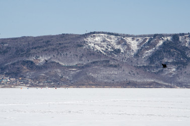 Similar image 21363286