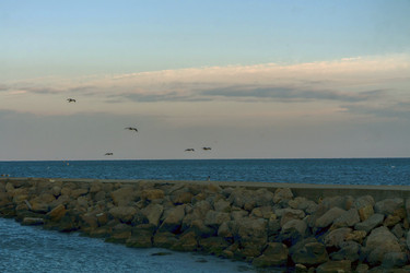 Similar image 21363365