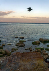 Similar image 21363380