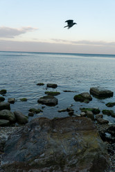 Similar image 21363397