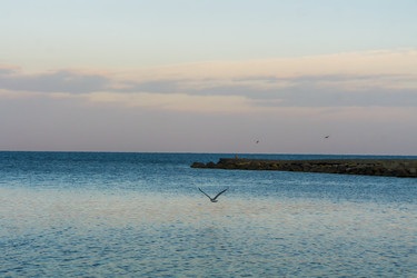 Similar image 21363399