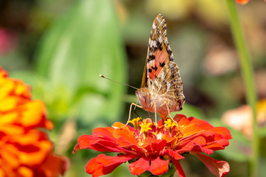 Similar image 21363046