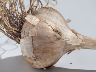 Similar image 21363047