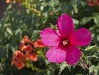 Similar image 21363048