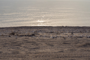 Similar image 21363054