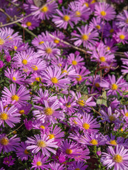 Similar image 21363056