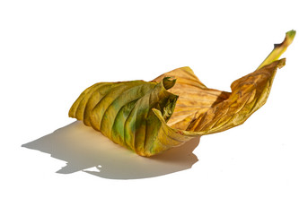 Similar image 21363057