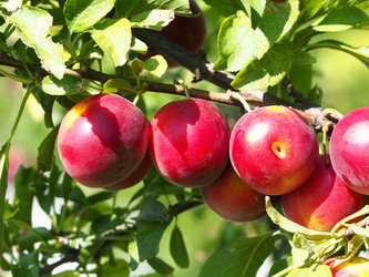 Similar image 21363059