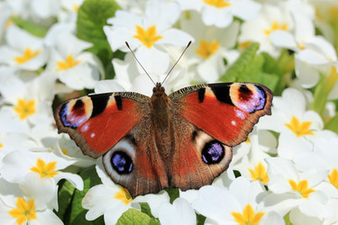 Similar image 21369981