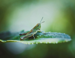 Similar image 21369993