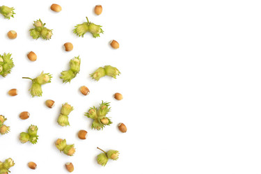 Similar image 21370007