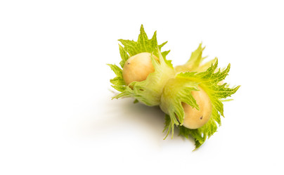 Similar image 21370013