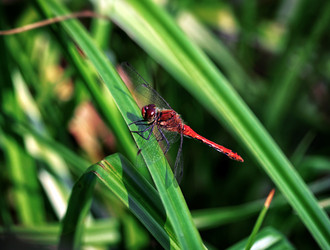 Similar image 21370020