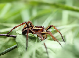 Similar image 21370023