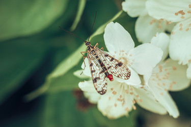 Similar image 21370025