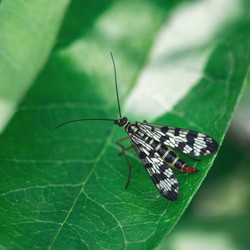 Similar image 21370029