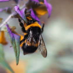 Similar image 21370030