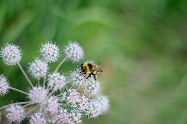 Similar image 21370033