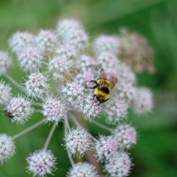 Similar image 21370034