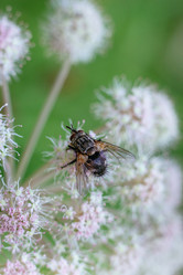 Similar image 21370037