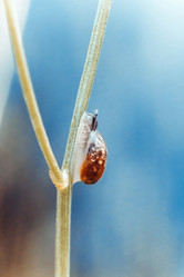 Similar image 21370041