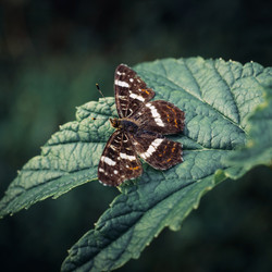 Similar image 21370042