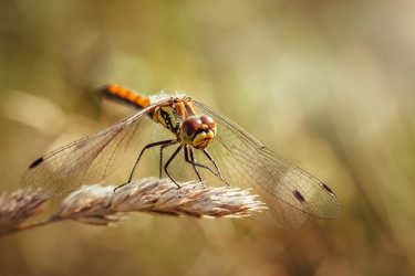 Similar image 21370045