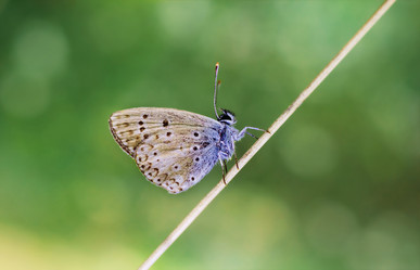 Similar image 21370047