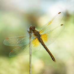 Similar image 21370048