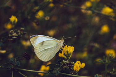 Similar image 21370050