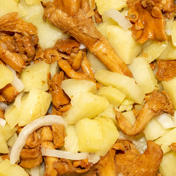 Similar image 21363114